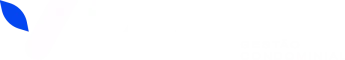 Logo Vizzi
